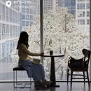 北京旅游 缩略图 10