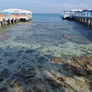 三亚旅游 缩略图 11