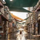 江门旅游 缩略图 6