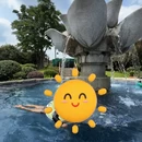 乐山旅游 缩略图 5