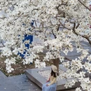 北京旅游 缩略图 9