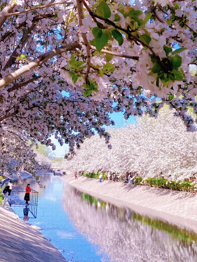北京旅游