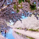 北京旅游 缩略图 1