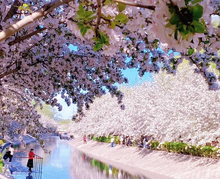 北京旅游 1