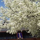 北京旅游 缩略图 5