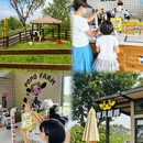 广州旅游 缩略图 6