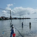 陵水黎族自治县旅游 缩略图 4