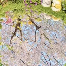 北京旅游 缩略图 4