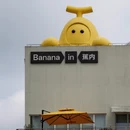 上海旅游 缩略图 16