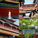 北京旅游 缩略图 12