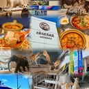 上海旅游 缩略图 4
