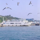 烟台旅游 缩略图 5