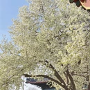 北京旅游 缩略图 6