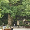 杭州旅游 缩略图 8