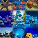 上海旅游 缩略图 2
