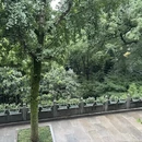杭州旅游 缩略图 4