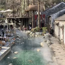 杭州旅游 缩略图 7