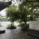 杭州旅游 缩略图 8