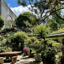 大理州旅游 缩略图 7