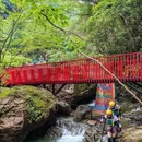 杭州旅游 缩略图 10