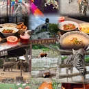 上海旅游 缩略图 3