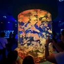 贵阳旅游 缩略图 10