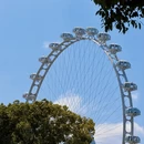 苏州旅游 缩略图 5