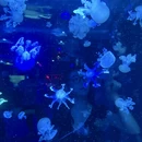 贵阳旅游 缩略图 4