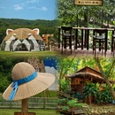 常州旅游 缩略图 5