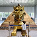上海旅游 缩略图 10