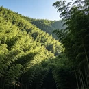 成都旅游 缩略图 8