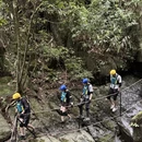 杭州旅游 缩略图 12