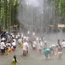 成都旅游 缩略图 1