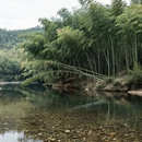 长沙旅游 缩略图 5