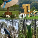 常州旅游 缩略图 4
