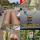 杭州旅游 缩略图 7