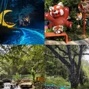 常州旅游 缩略图 5