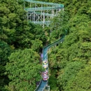杭州旅游 缩略图 1
