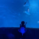 贵阳旅游 缩略图 11