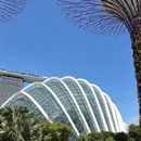 新加坡旅游 缩略图 8