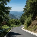 广州旅游 缩略图 7