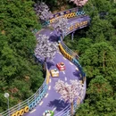 杭州旅游 缩略图 12
