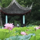 苏州旅游 缩略图 4