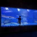 贵阳旅游 缩略图 5