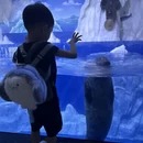 贵阳旅游 缩略图 2