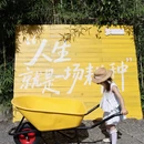 丽水旅游 缩略图 4
