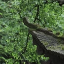苏州旅游 缩略图 3