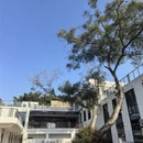 广州旅游 缩略图 2