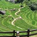 丽水旅游 缩略图 1