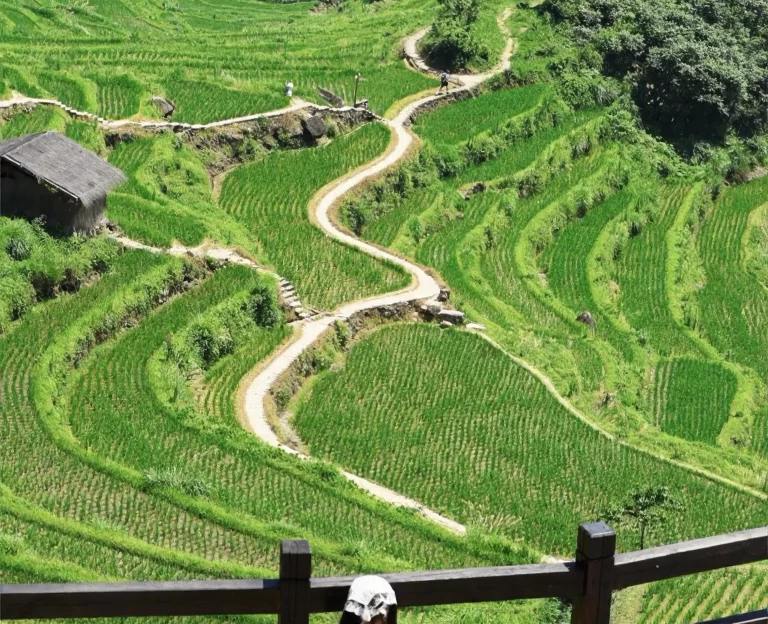 丽水旅游 1